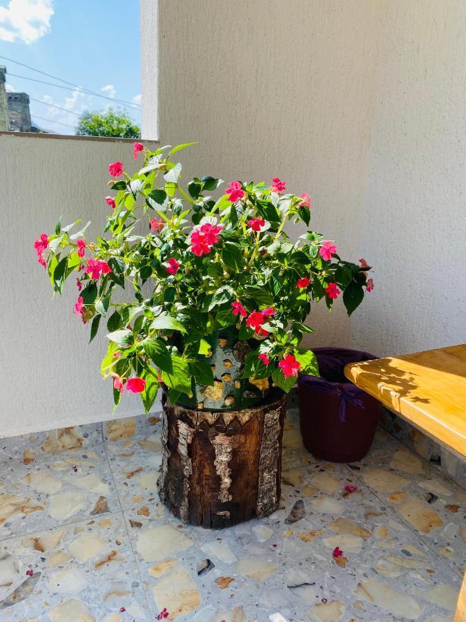 Zhabeshi Guest House Victor מראה חיצוני תמונה