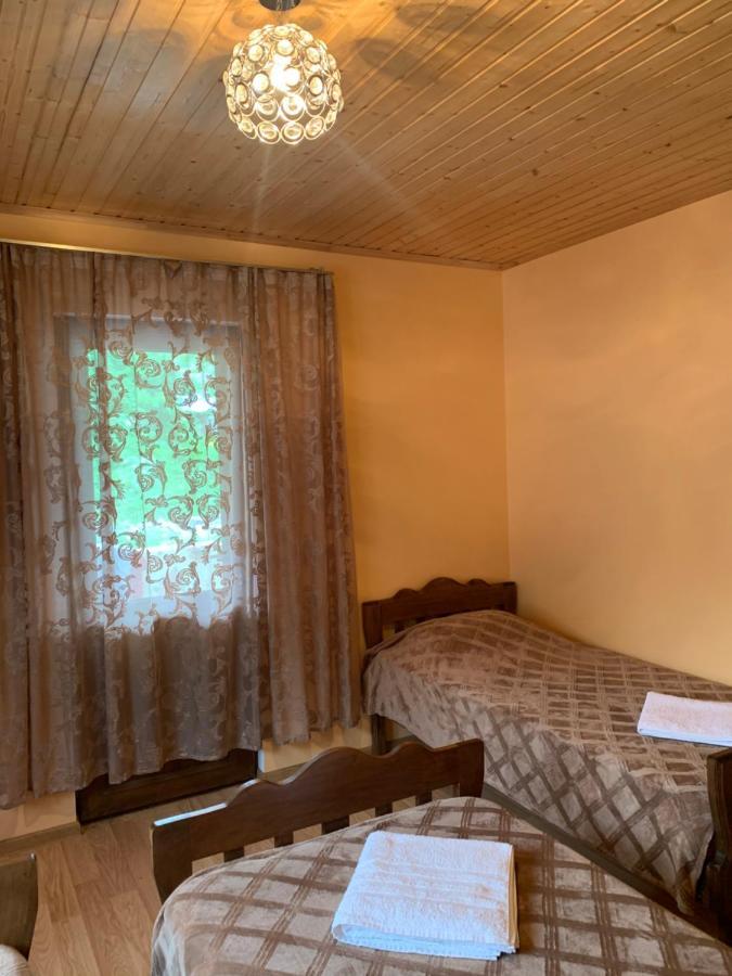 Zhabeshi Guest House Victor מראה חיצוני תמונה